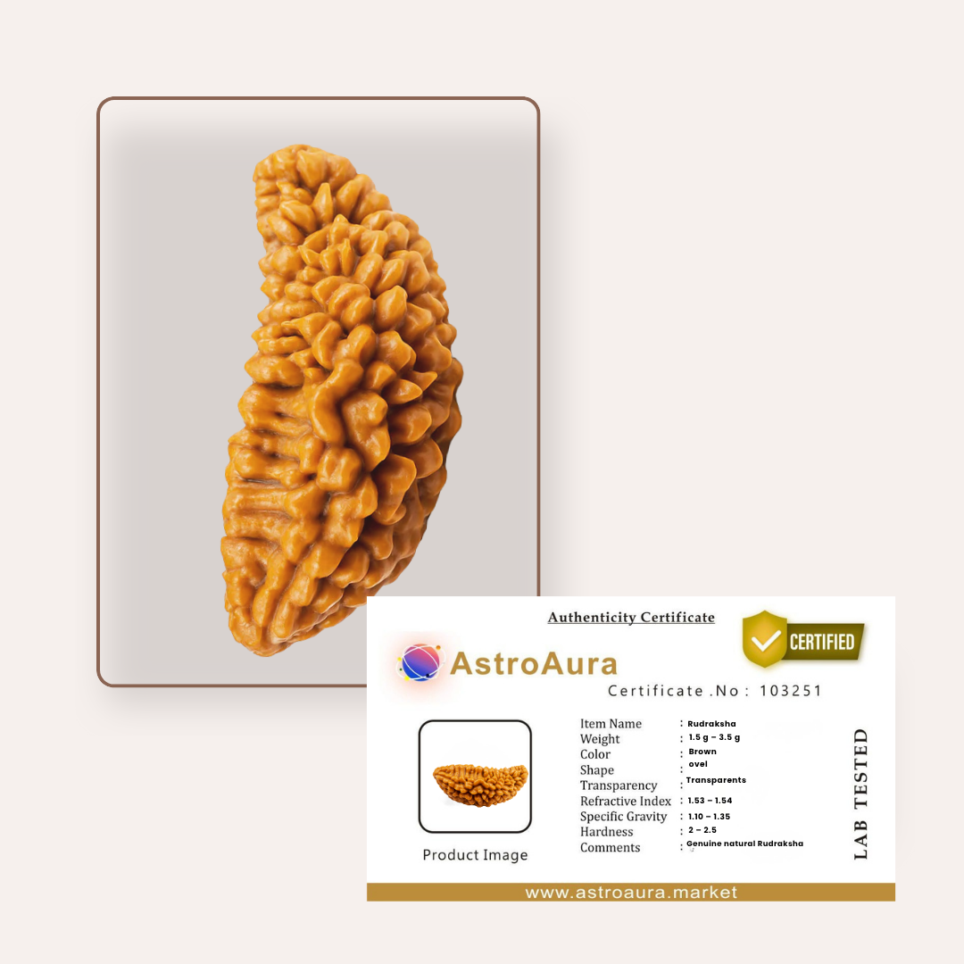1 Mukhi Rudraksha Certified (Rameswaram)