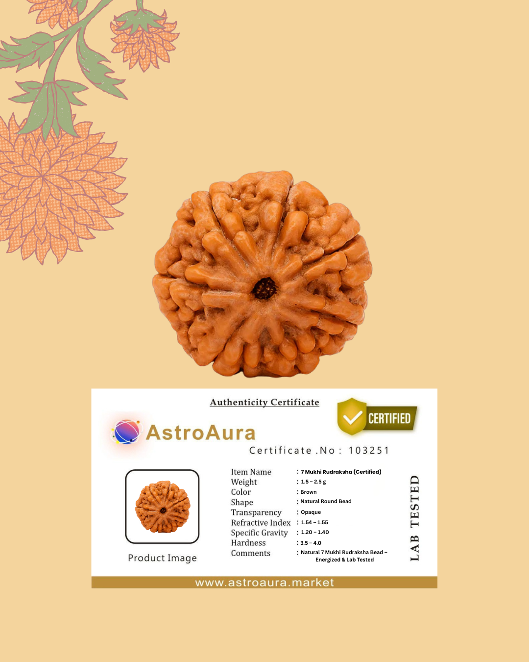 7 Mukhi Ruraksha Certified (Nepal)