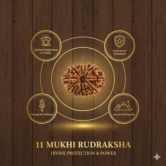 11 Mukhi Rudraksha Nepali Lab Certified